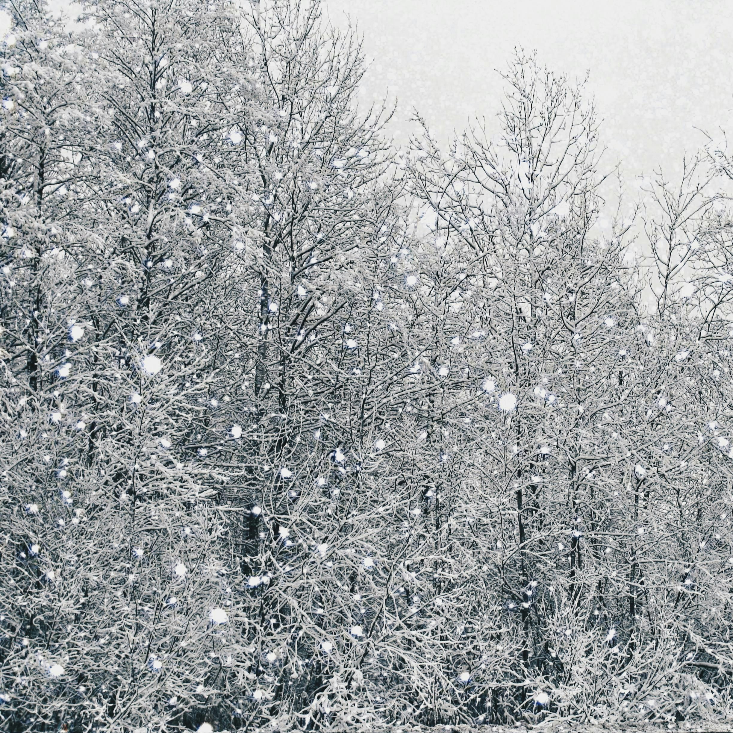 Picture of beautiful and fantastic weather condition