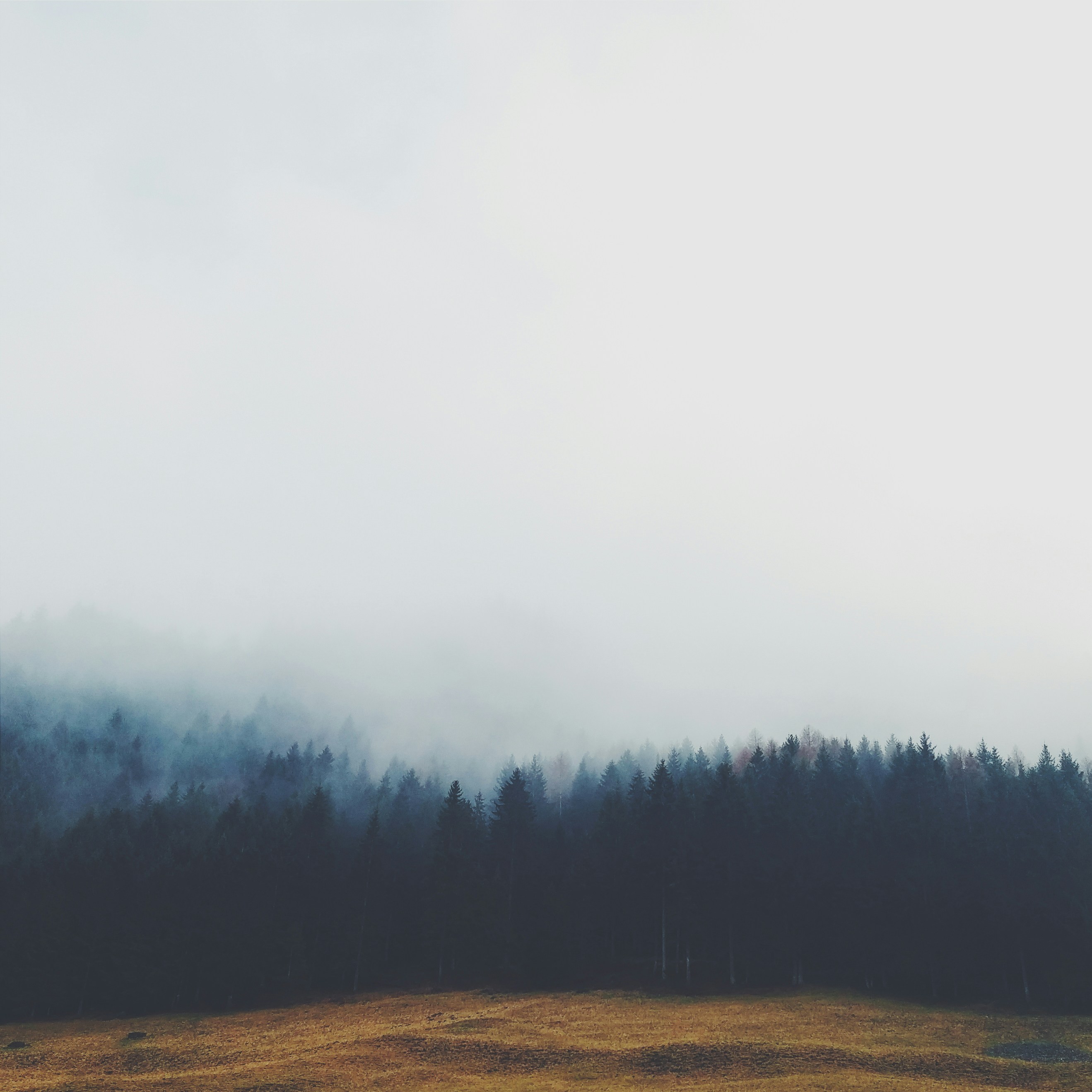 Picture of beautiful and fantastic weather condition